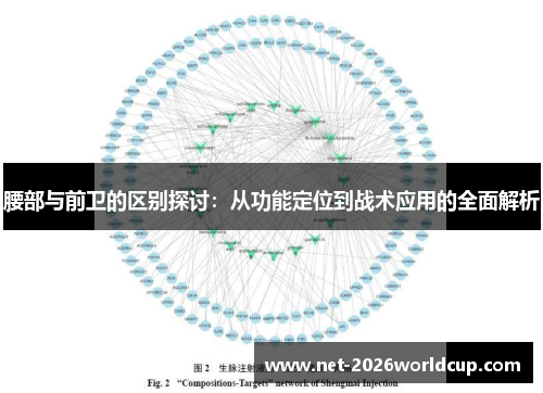 腰部与前卫的区别探讨:从功能定位到战术应用的全面解析 腰部与前卫的区别探讨:从功能定位到战术应用的全面解析