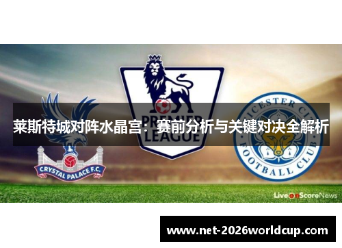 莱斯特城对阵水晶宫:赛前分析与关键对决全解析 莱斯特城对阵水晶宫:赛前分析与关键对决全解析